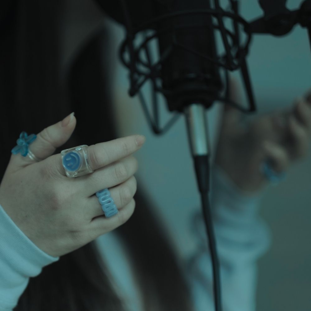 Singer songwriter services - Branik